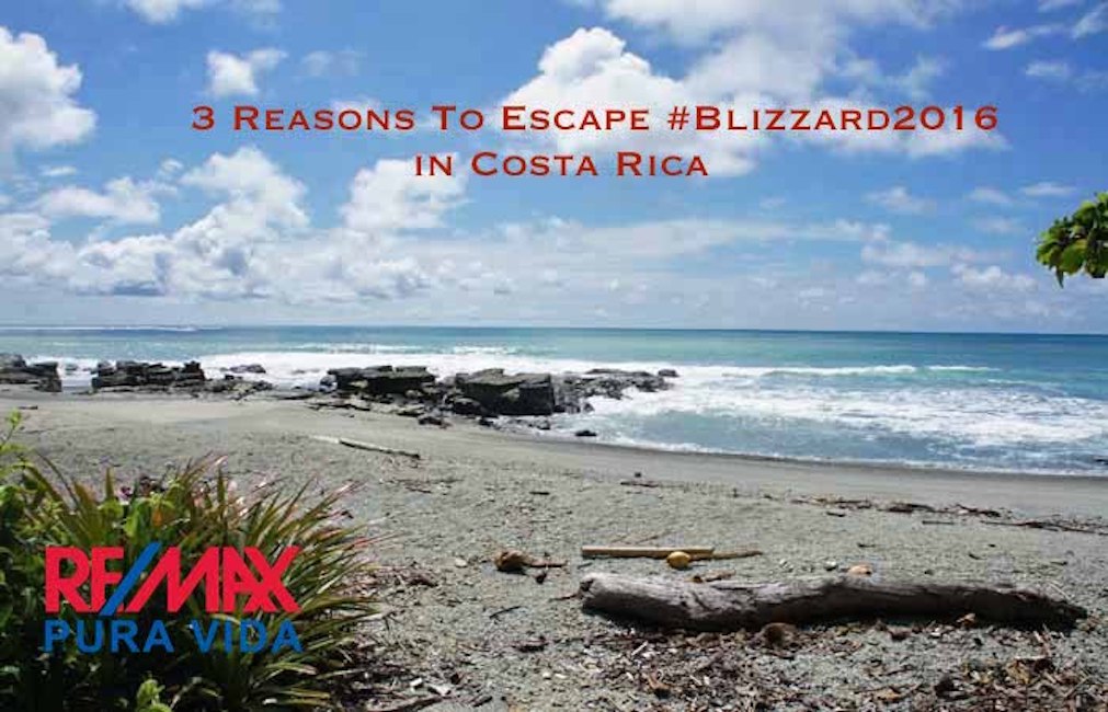 costa rica blizzard