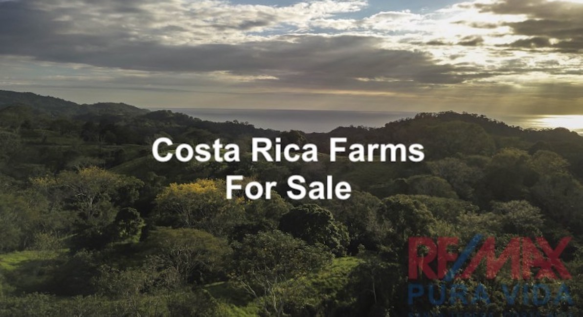 costa rica farms for sale