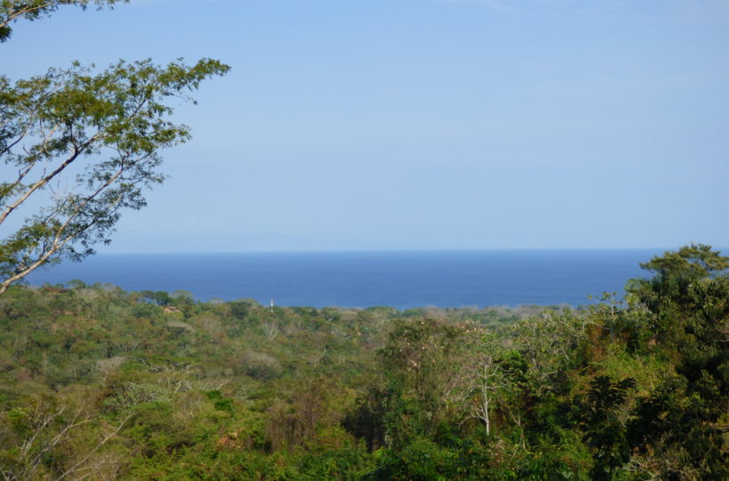 Cabuya Finca