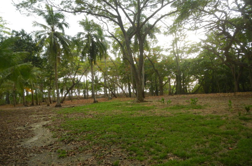 Santa Teresa Property For Sale