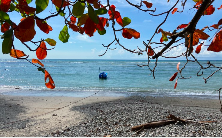 Cabuya Beachfront Property