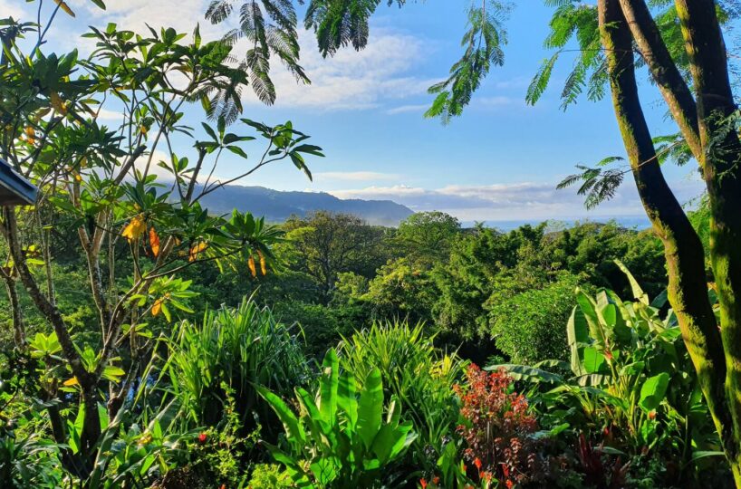 Santa Teresa Mal Pais Nature Jungle