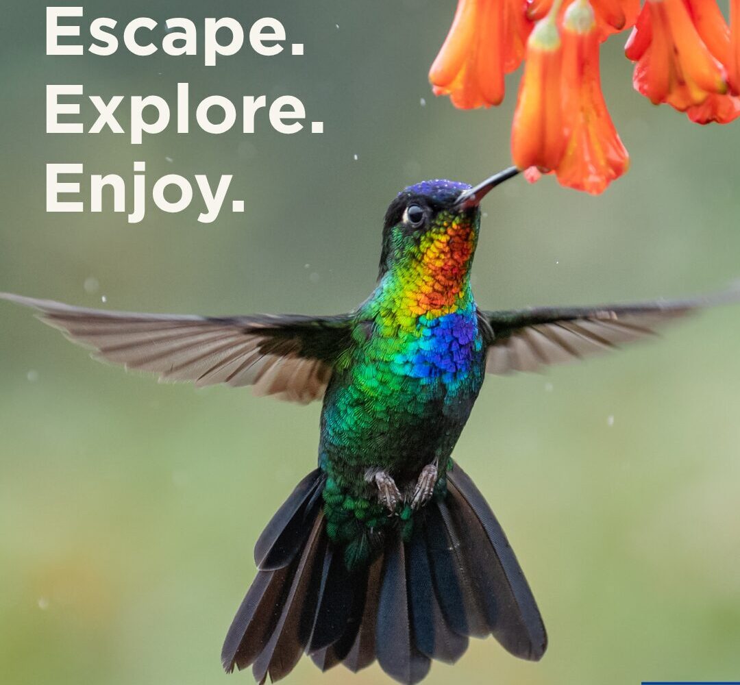 mal pais santa teresa faqs